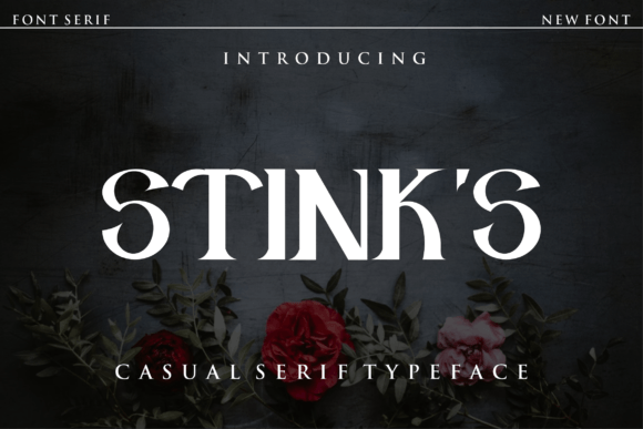 Stink s: A Unique Serif Display Font for Editorial Flair